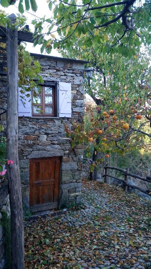Casa Millin Apartment Borzonasca Exterior photo