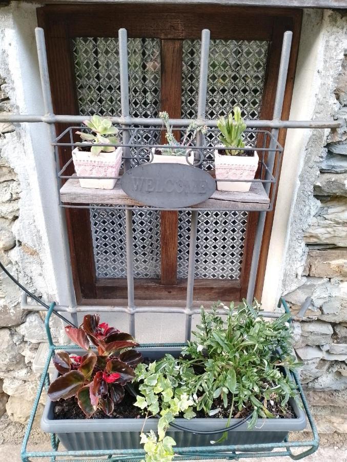 Casa Millin Apartment Borzonasca Exterior photo