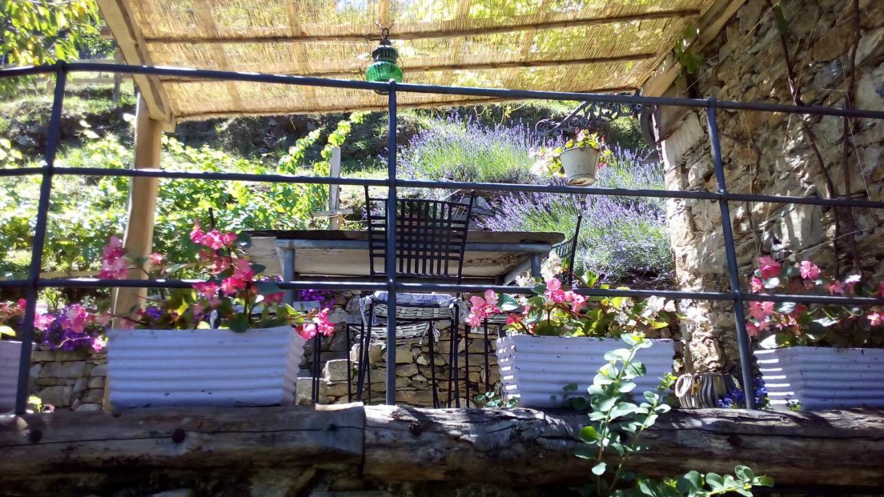 Casa Millin Apartment Borzonasca Exterior photo
